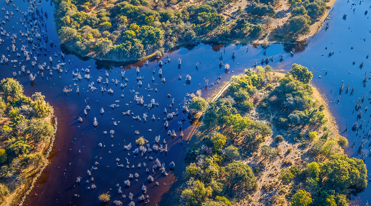Luxury Okavango Delta Safari