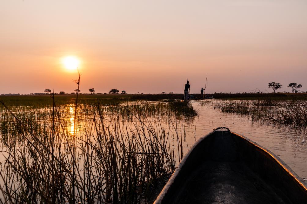 Okavango Delta Safari