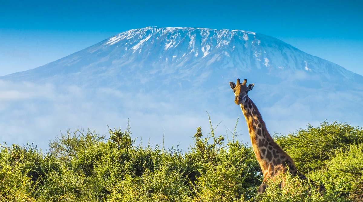 Romantic Kenya Safari and Zanzibar