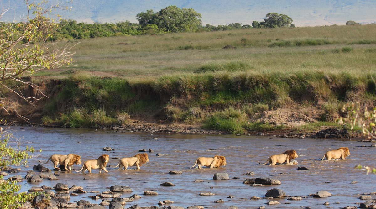 Romantic Kenya Safari and Zanzibar