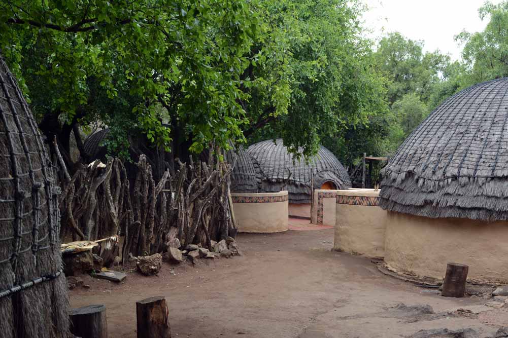 Cape Town and Sanbona Safari Adventure