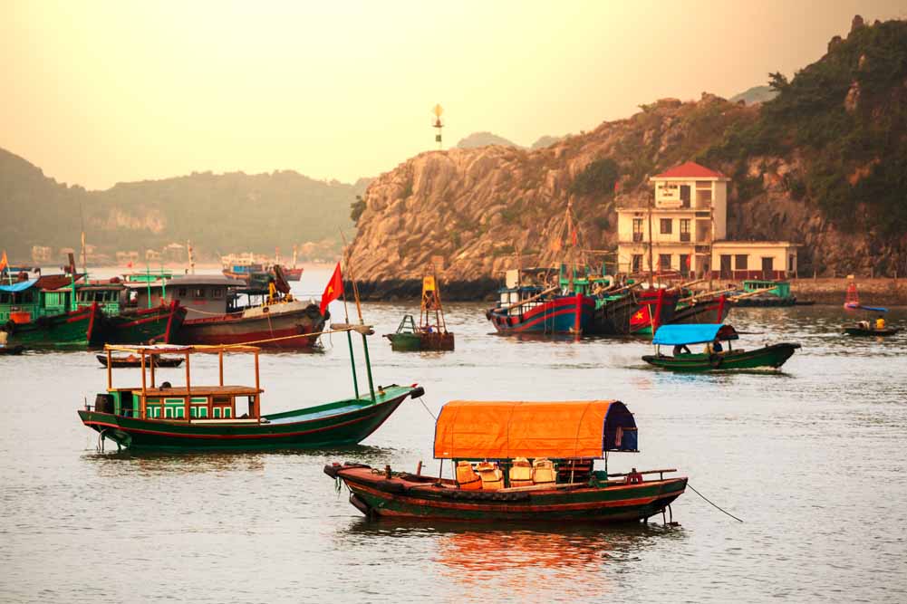 Hanoi Discovery