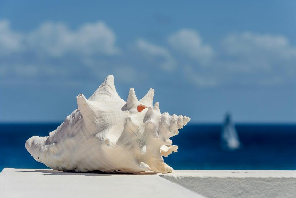 Romantic Anguilla Itinerary