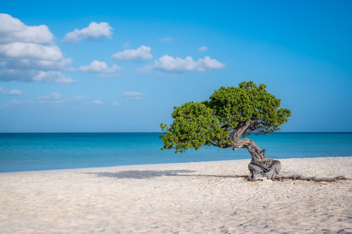 Romantic Aruba Escapade