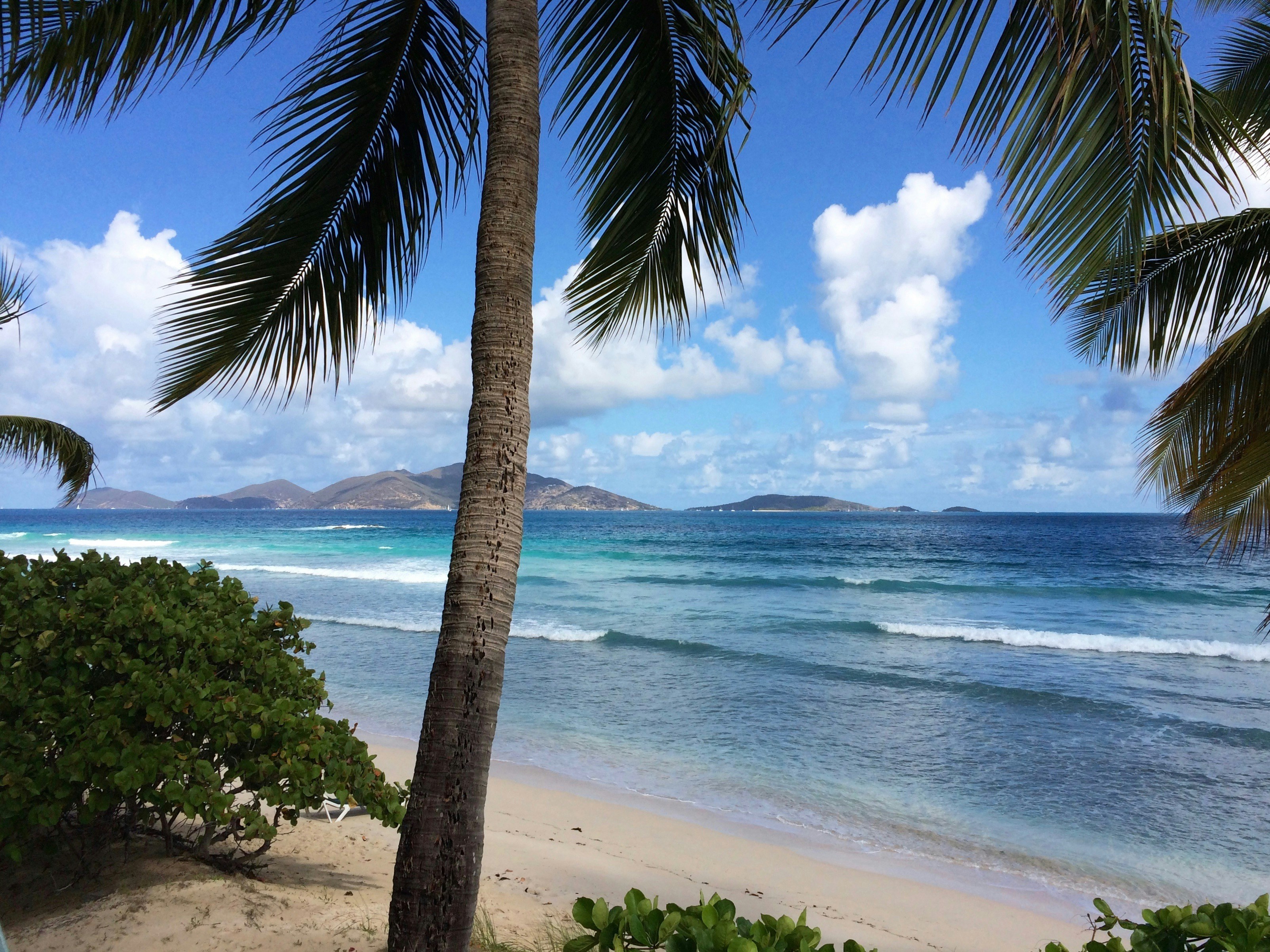 Tortola Discovery