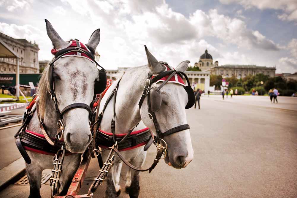 An Enchanting Christmas in Austria