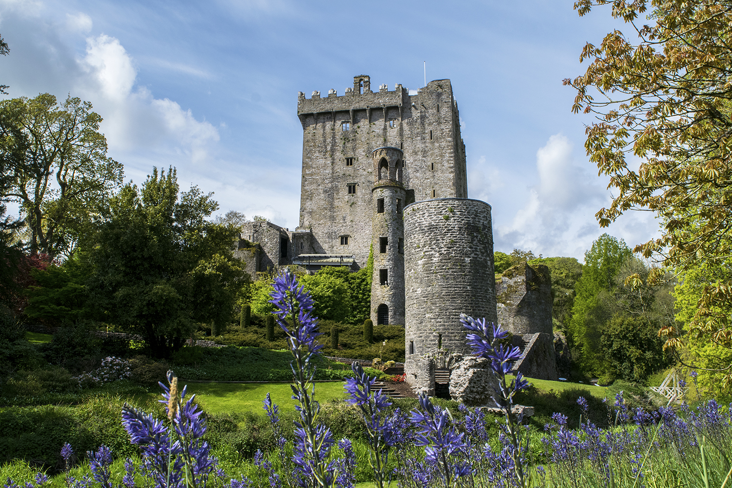 Ireland Golf Adventure