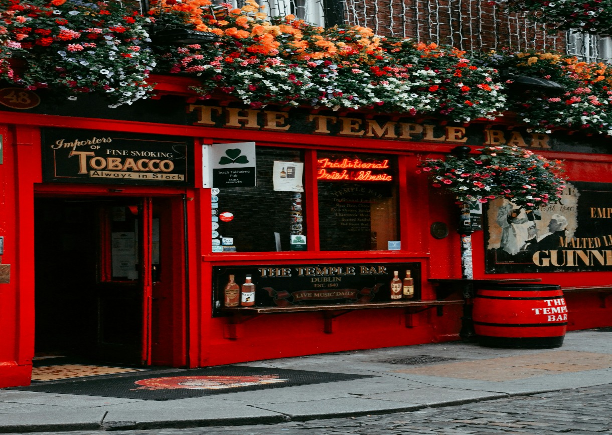 Wild Northern Ireland Explorer
