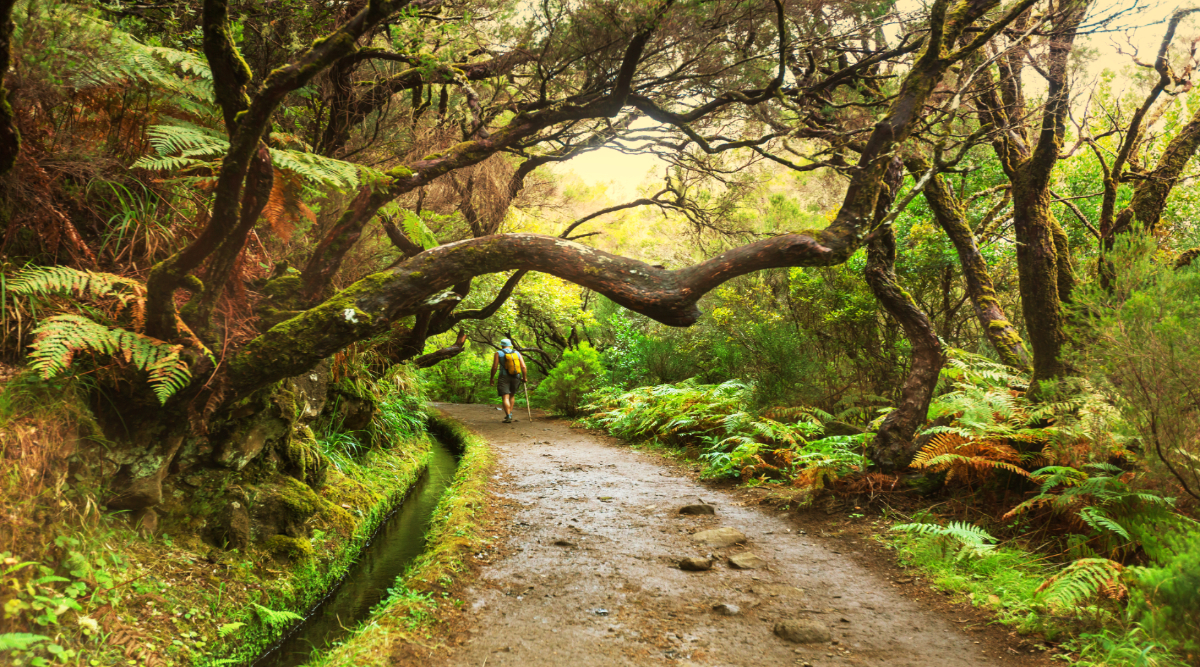 Portugal Private Family Journey including Madeira Island