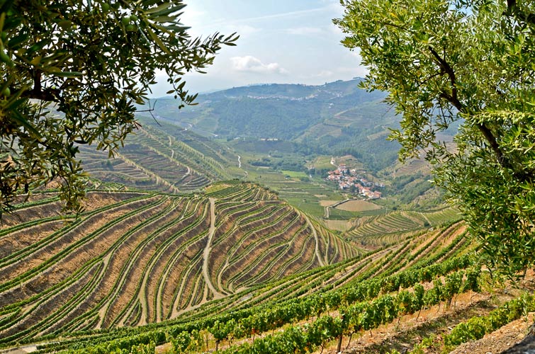 Portugal Highlights Private Journey including Douro Valley