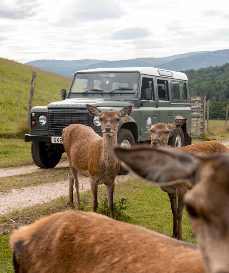 Great Rail Journey: Wild Spirit of Scotland with Royal Scotsman