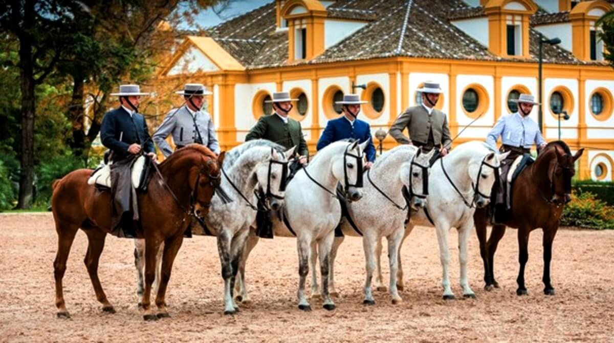 Spanish Romance Private Journey
