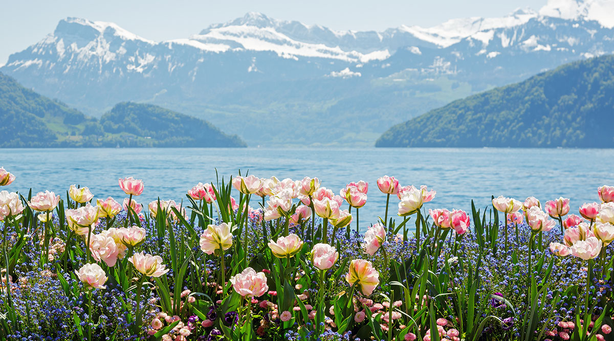 The Ultimate Italy Swiss Alps and Paris Explorer