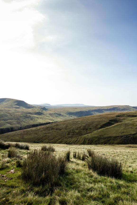 Wales Culinary Journey