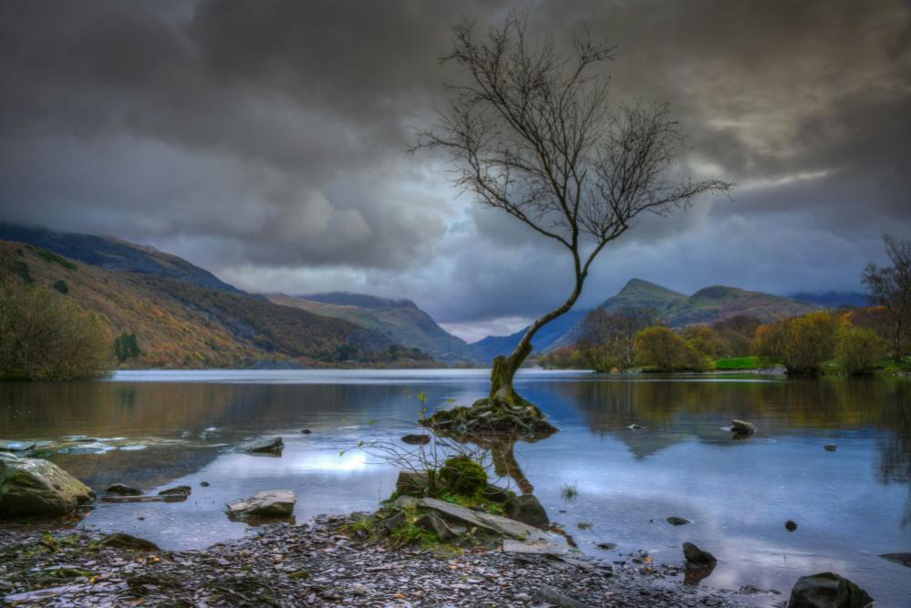 Wild Wales: A Great Rail Journey Aboard the Britannic Explorer