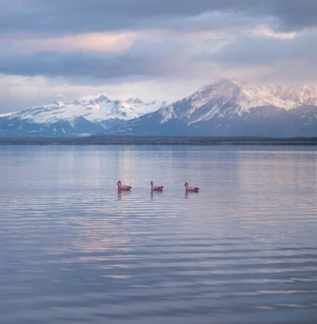 Pure Patagonia Adventure