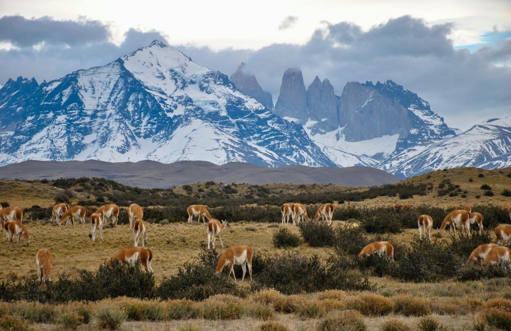 Pure Patagonia Adventure