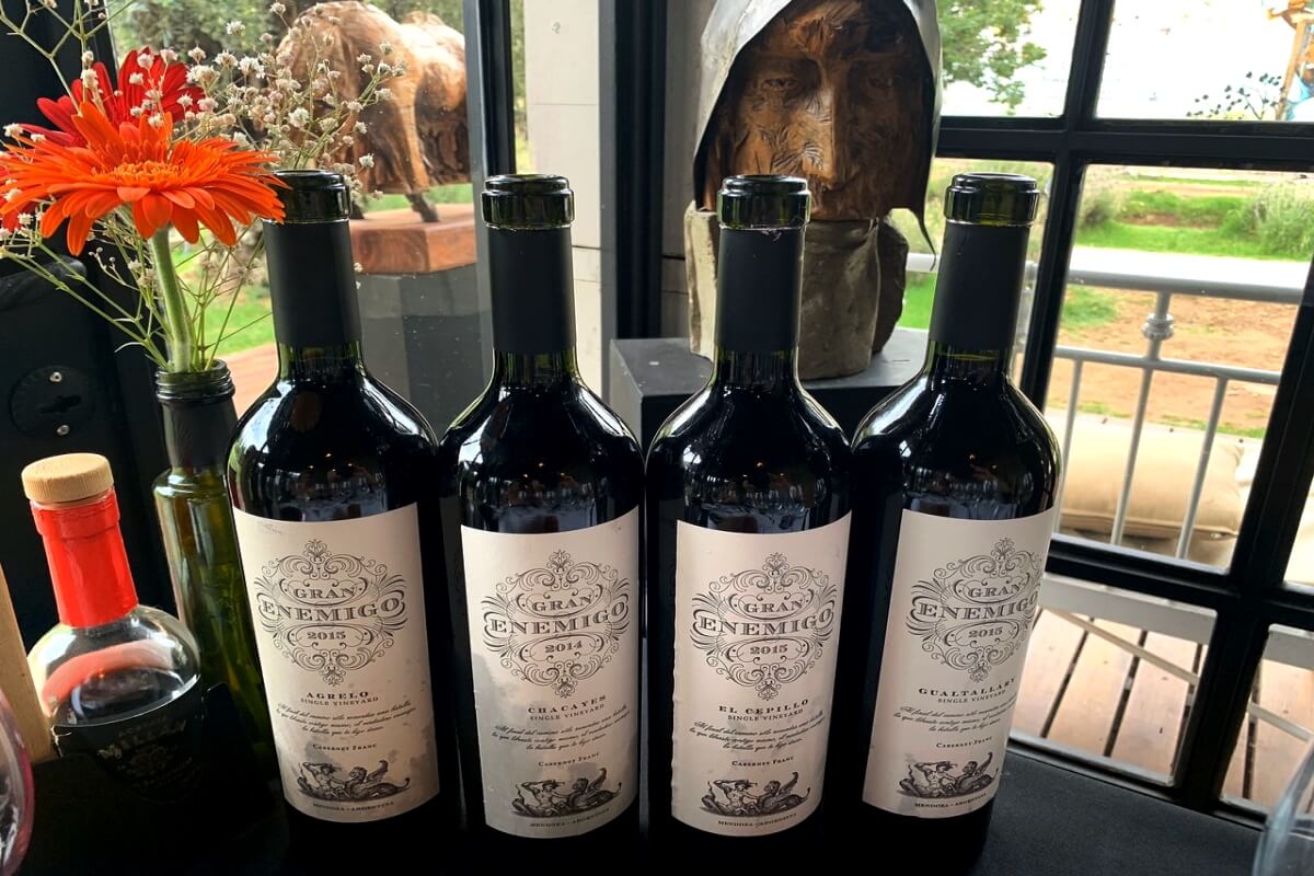 Gourmet Wine and Culinary Journey Through South America
