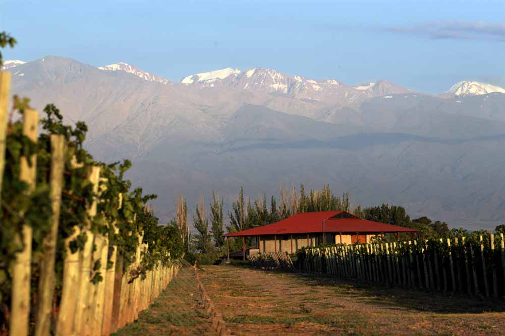 Gourmet Wine and Culinary Journey Through South America