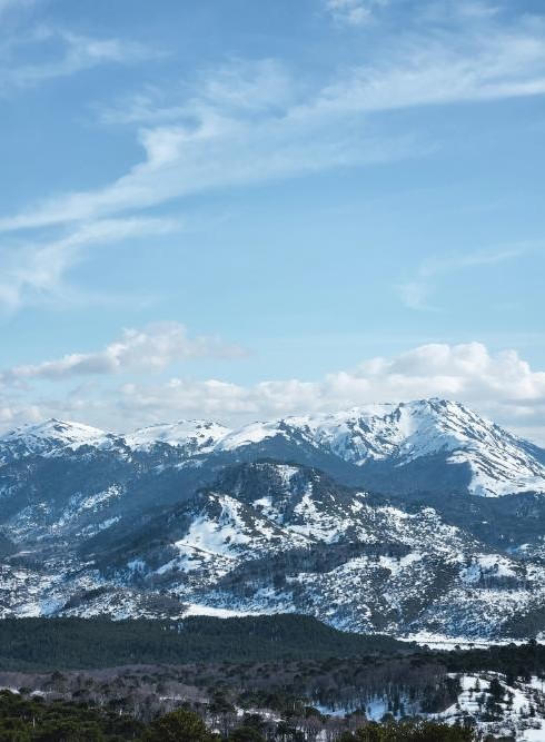 Ushuaia Snow Trails Adventure