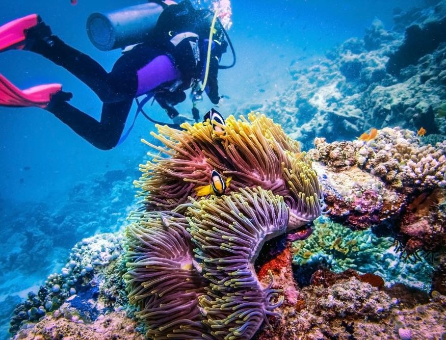 Barefoot in Belize: A Luxury Island Escapade