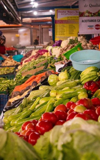 Brazilian Culinary Journey