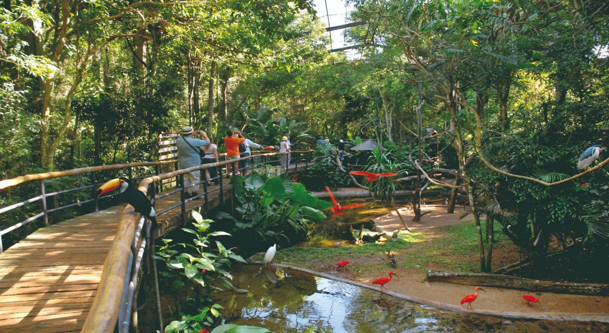 Brazil Family Adventure