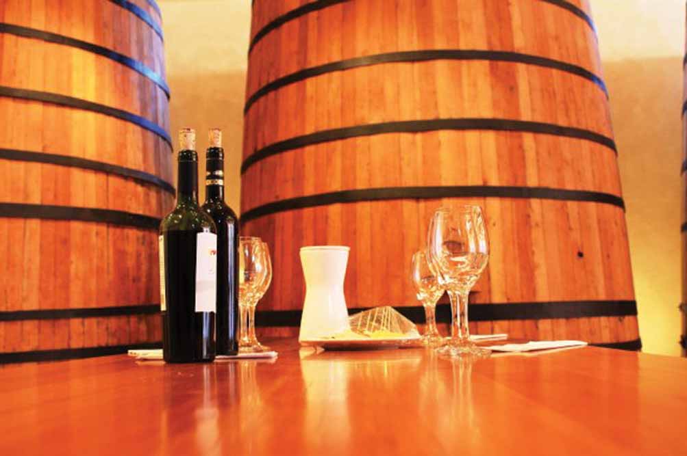 Gourmet Wine and Culinary Journey Through South America