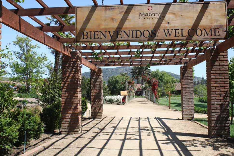 Gourmet Wine and Culinary Journey Through South America