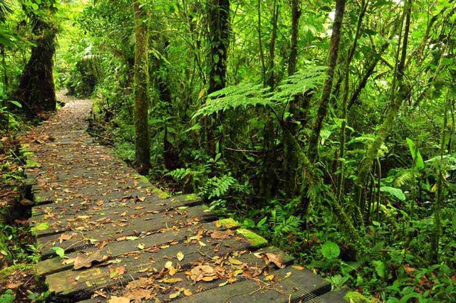Experience Costa Rica: Volcano Hikes and Pacific Sunsets Adventure