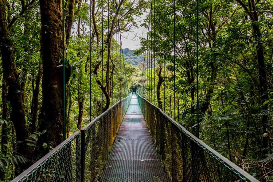 Experience Costa Rica: Volcano Hikes and Pacific Sunsets Adventure
