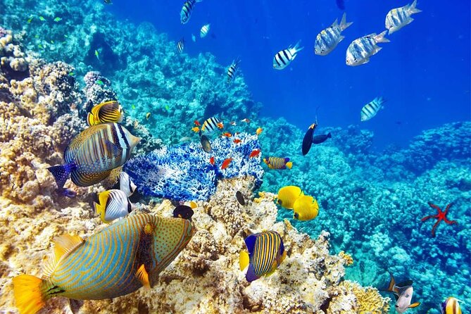 Private Journey Through Iconic Destinations of Costa Rica