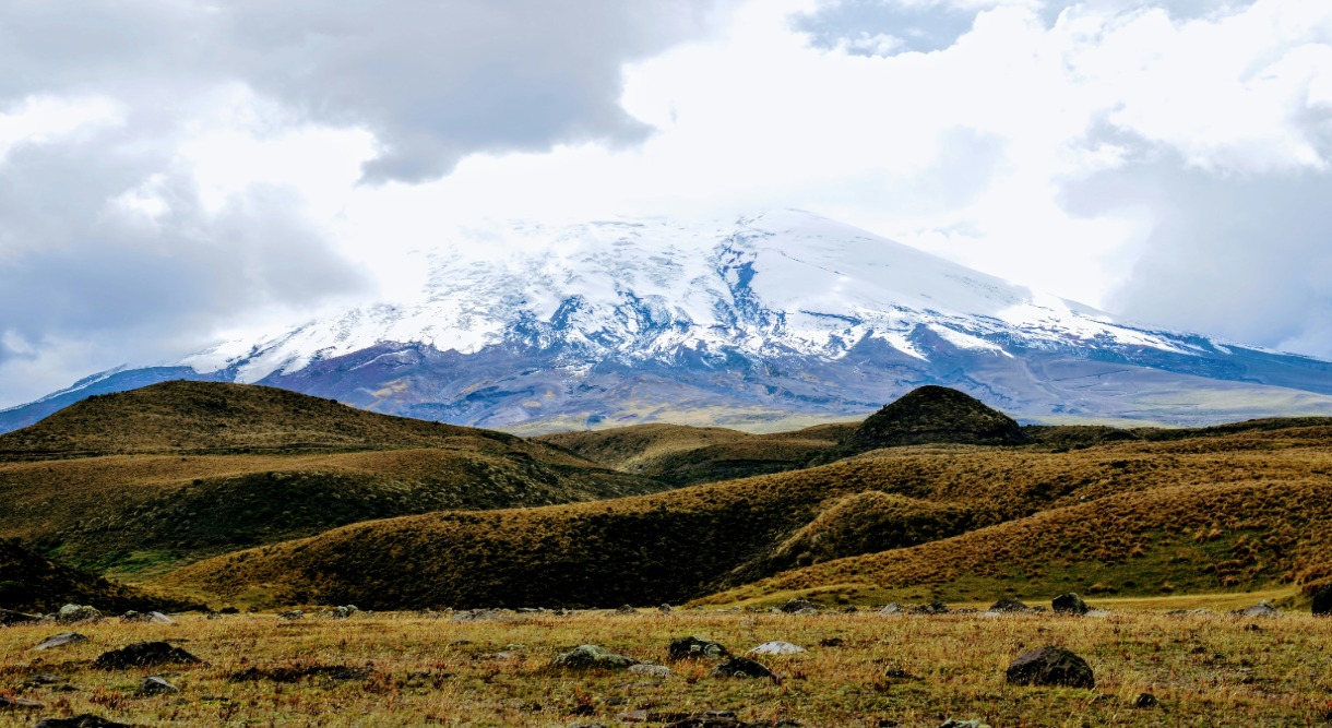Private Journey Through Ecuador's Highlands and Cloud Forests