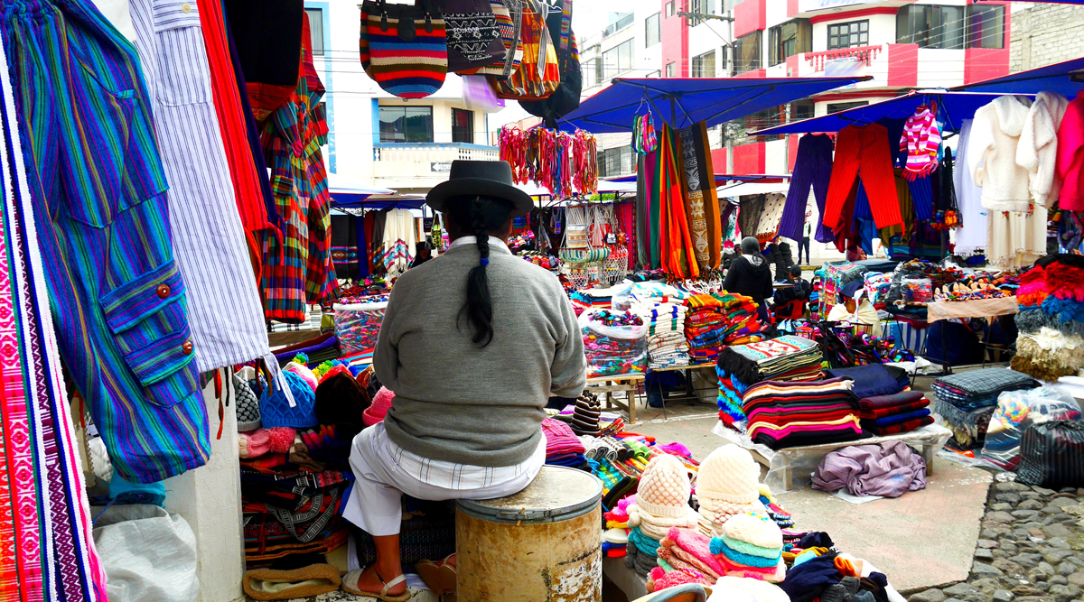 Private Journey Through Ecuador's Highlands and Cloud Forests