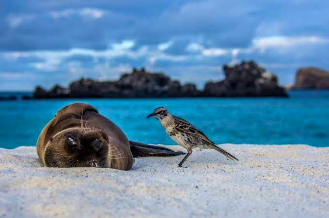Private Family Journey of Discovery in Ecuador & Galapagos