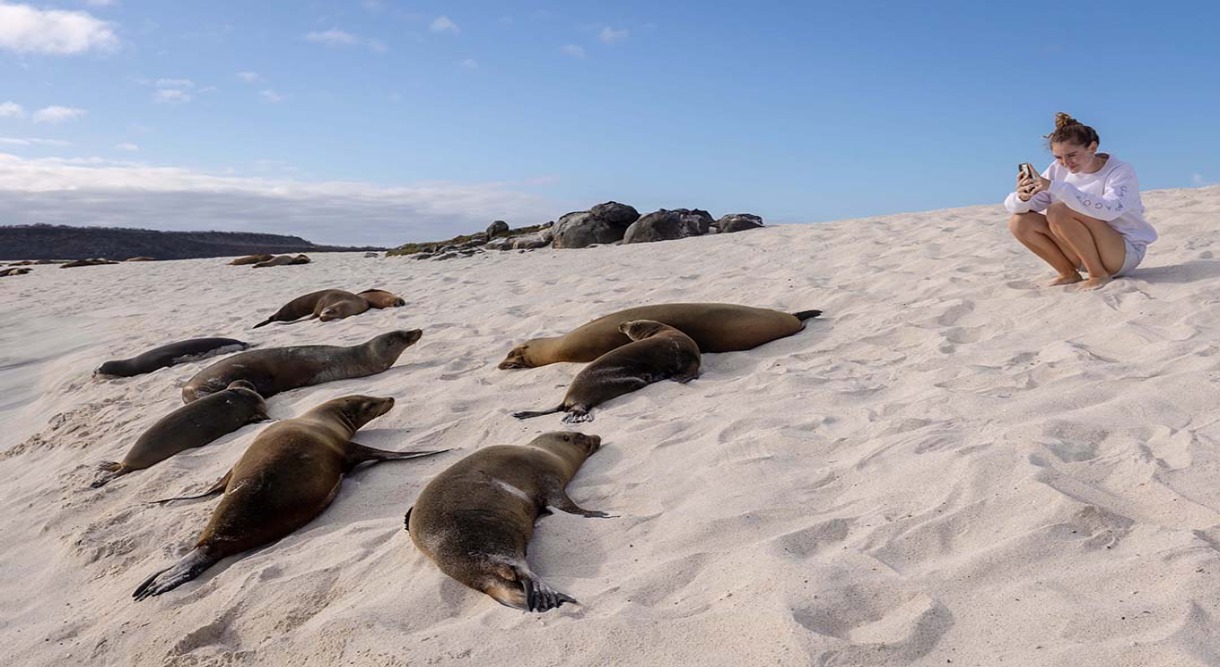Galapagos Explorer A Family Journey Through Nature's Playground