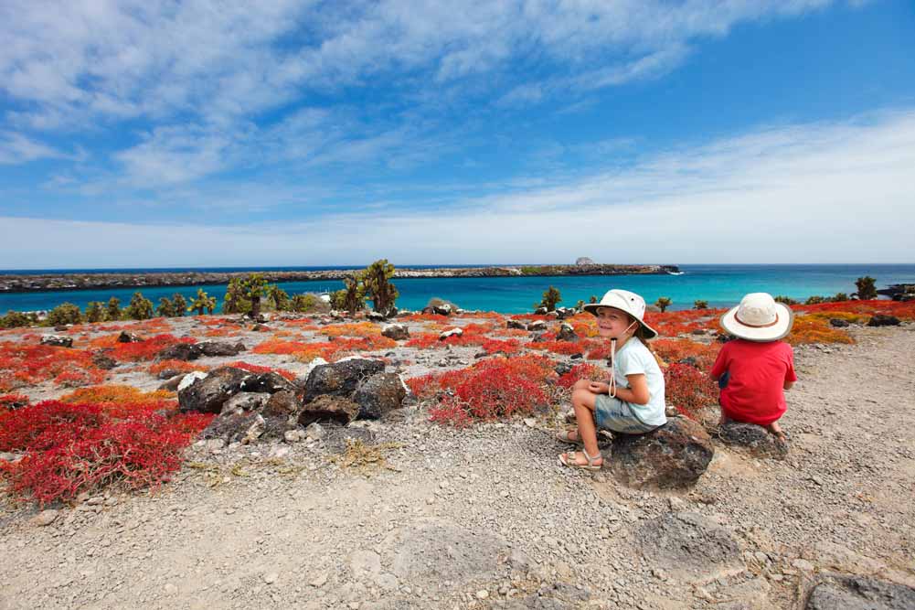 Galapagos Explorer A Family Journey Through Nature's Playground