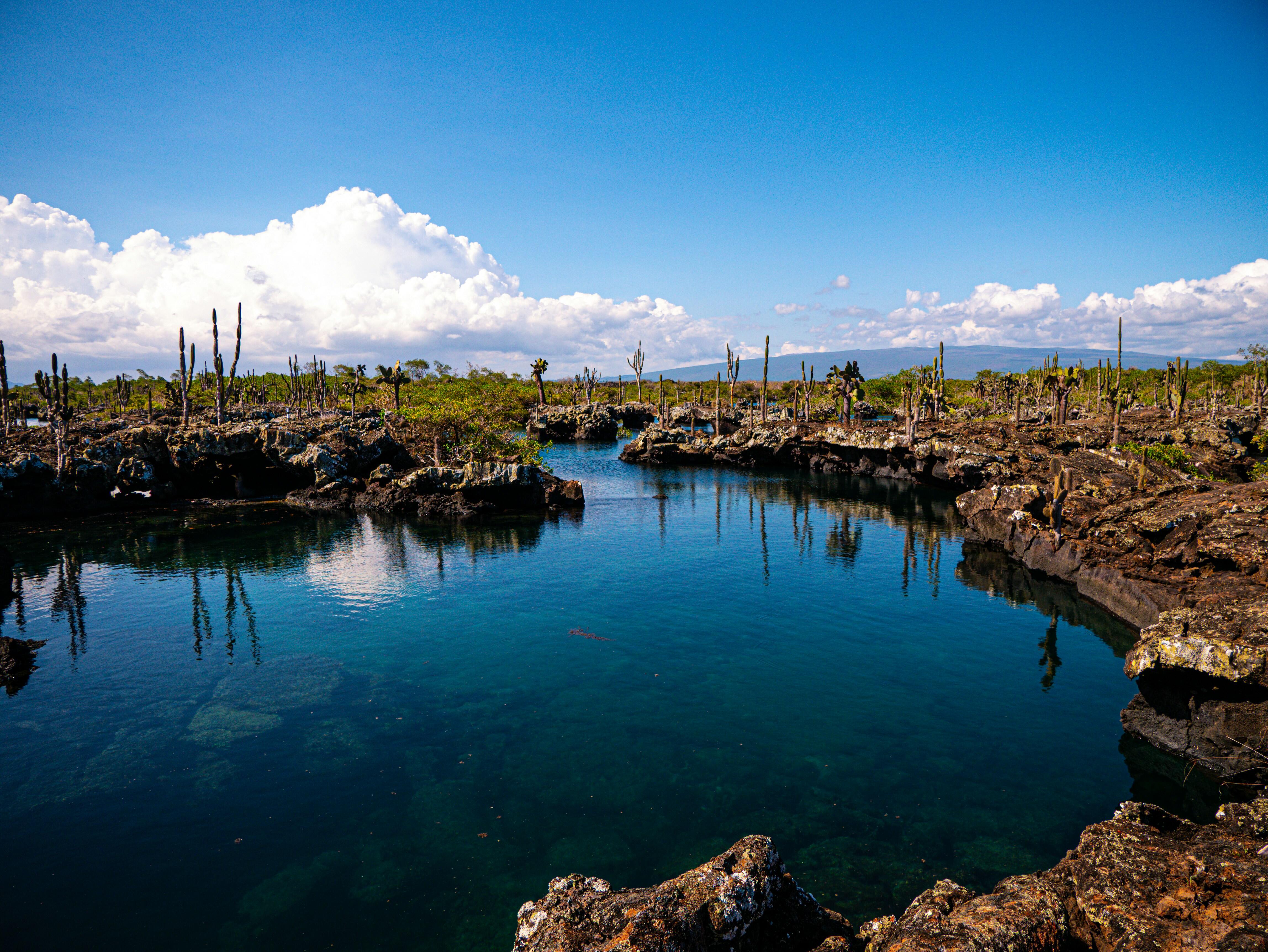 Galapagos Explorer A Family Journey Through Nature's Playground
