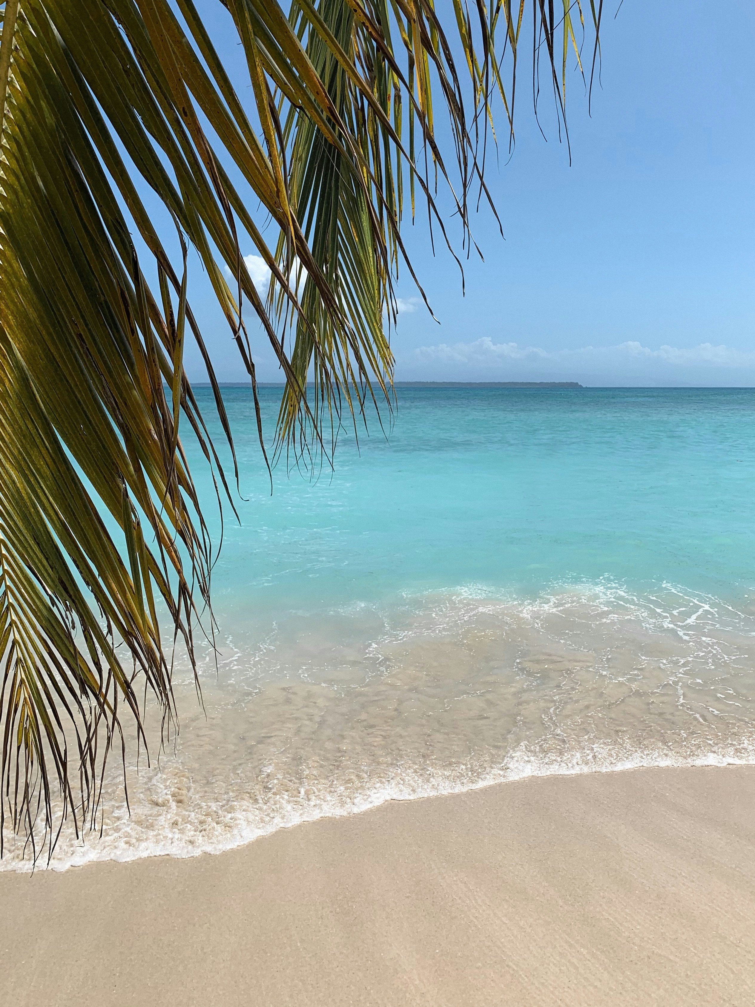 Ultimate Panama Adventure