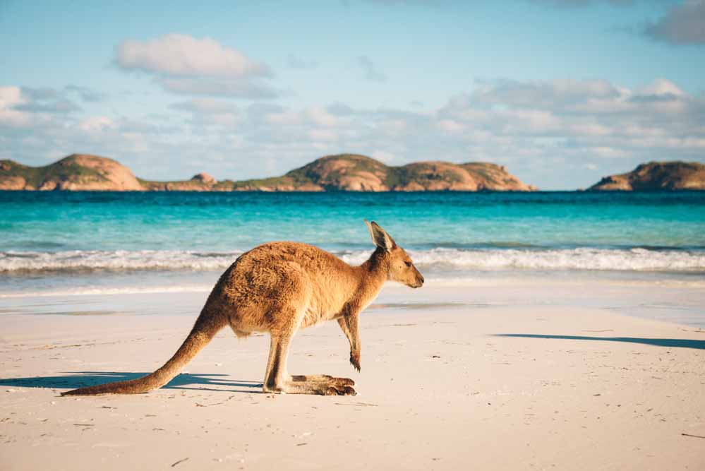 Sydney Pre or Post Cruise
