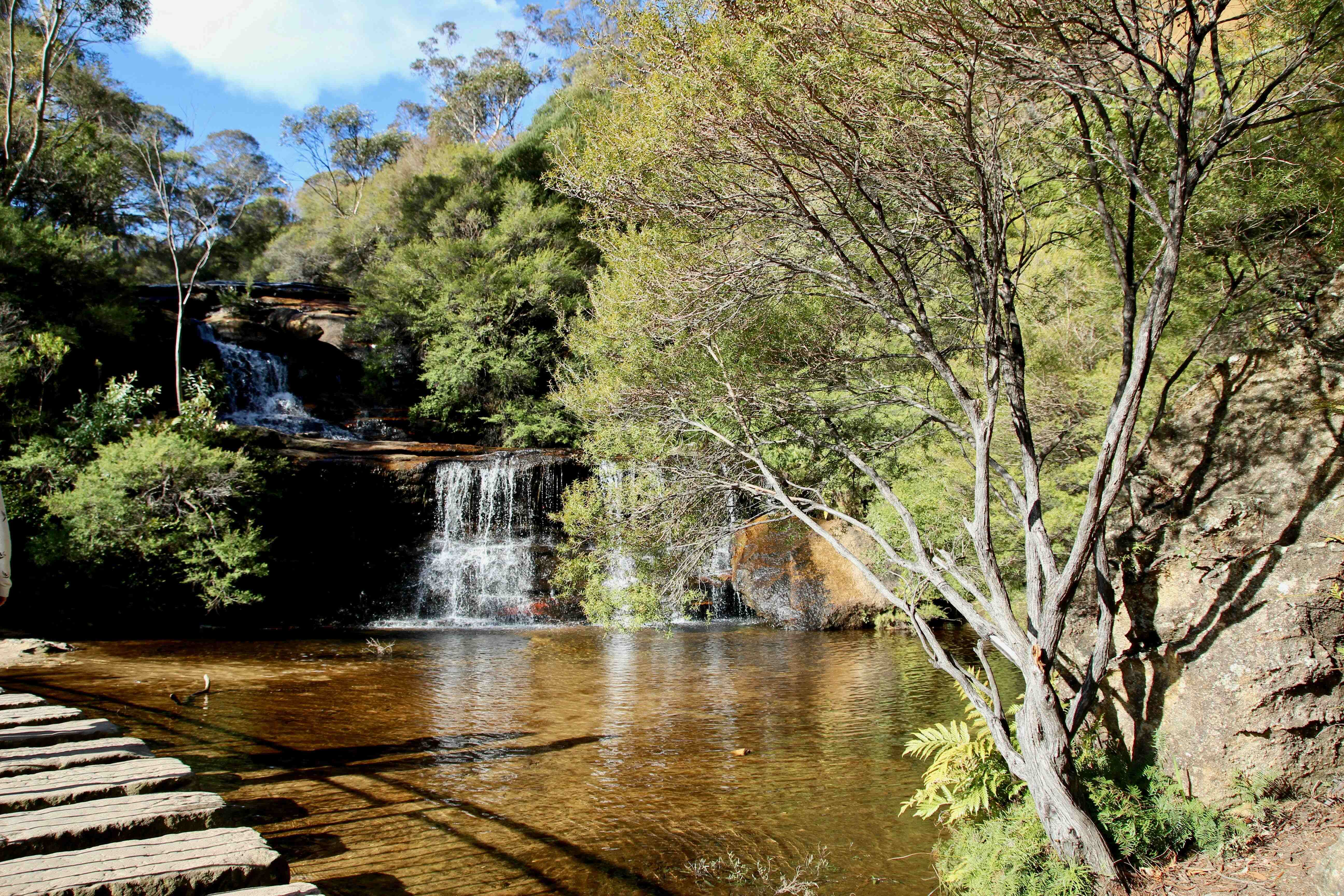Australia's Tropical Trio Private Journey