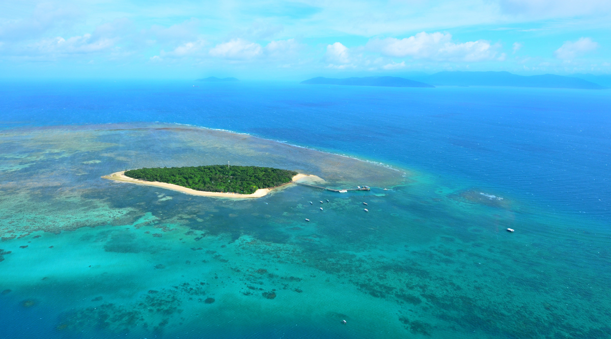 The Great Barrier Reef Escapade