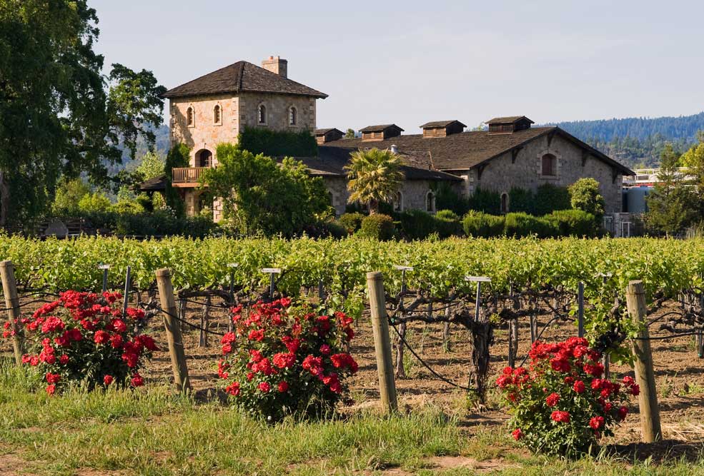 San Francisco and Napa Valley Self Drive Explorer