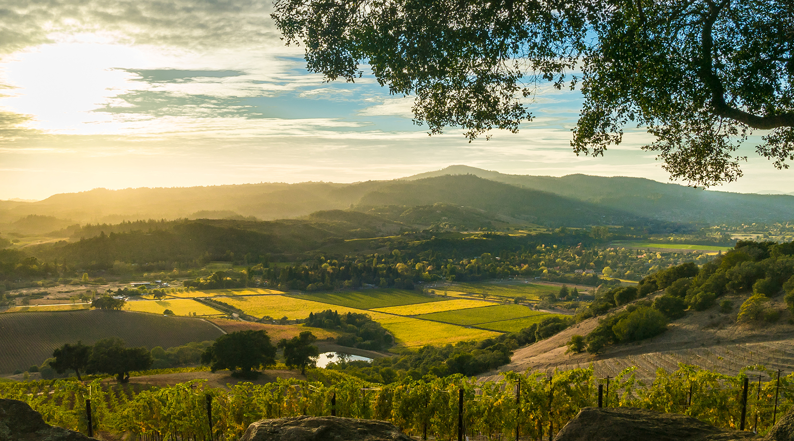 San Francisco and Napa Valley Self Drive Explorer