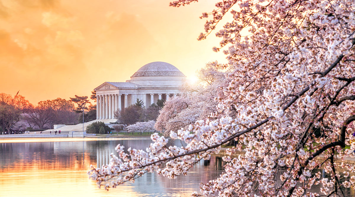 Washington DC Discovery