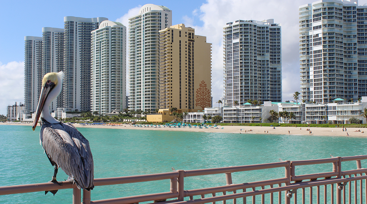 Miami Pre or Post Cruise