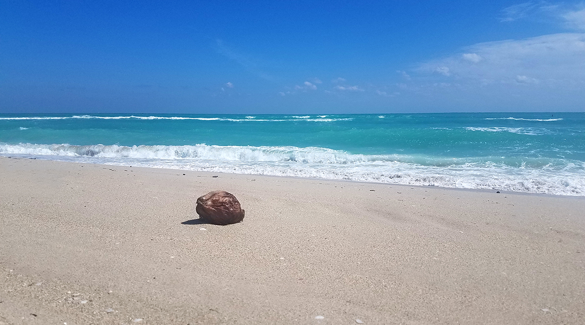 South Florida Self Drive Explorer