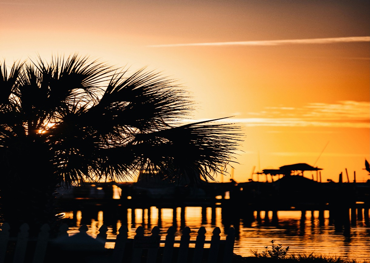 Tampa Pre or Post Cruise