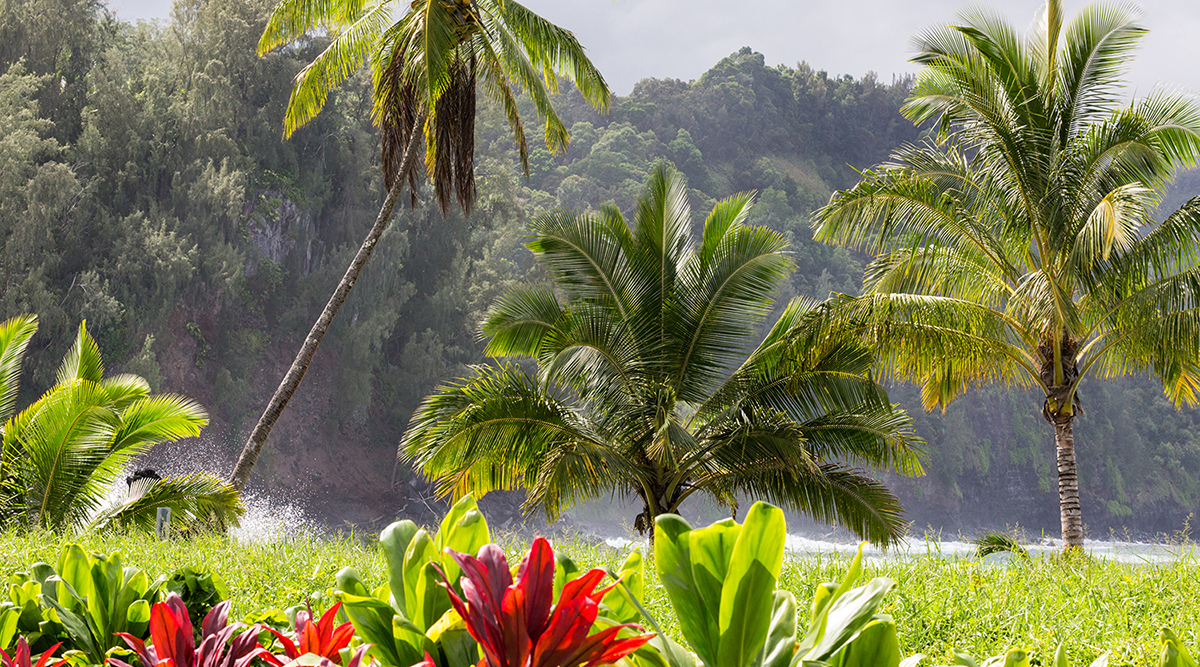 Jewels of Hawaii Explorer