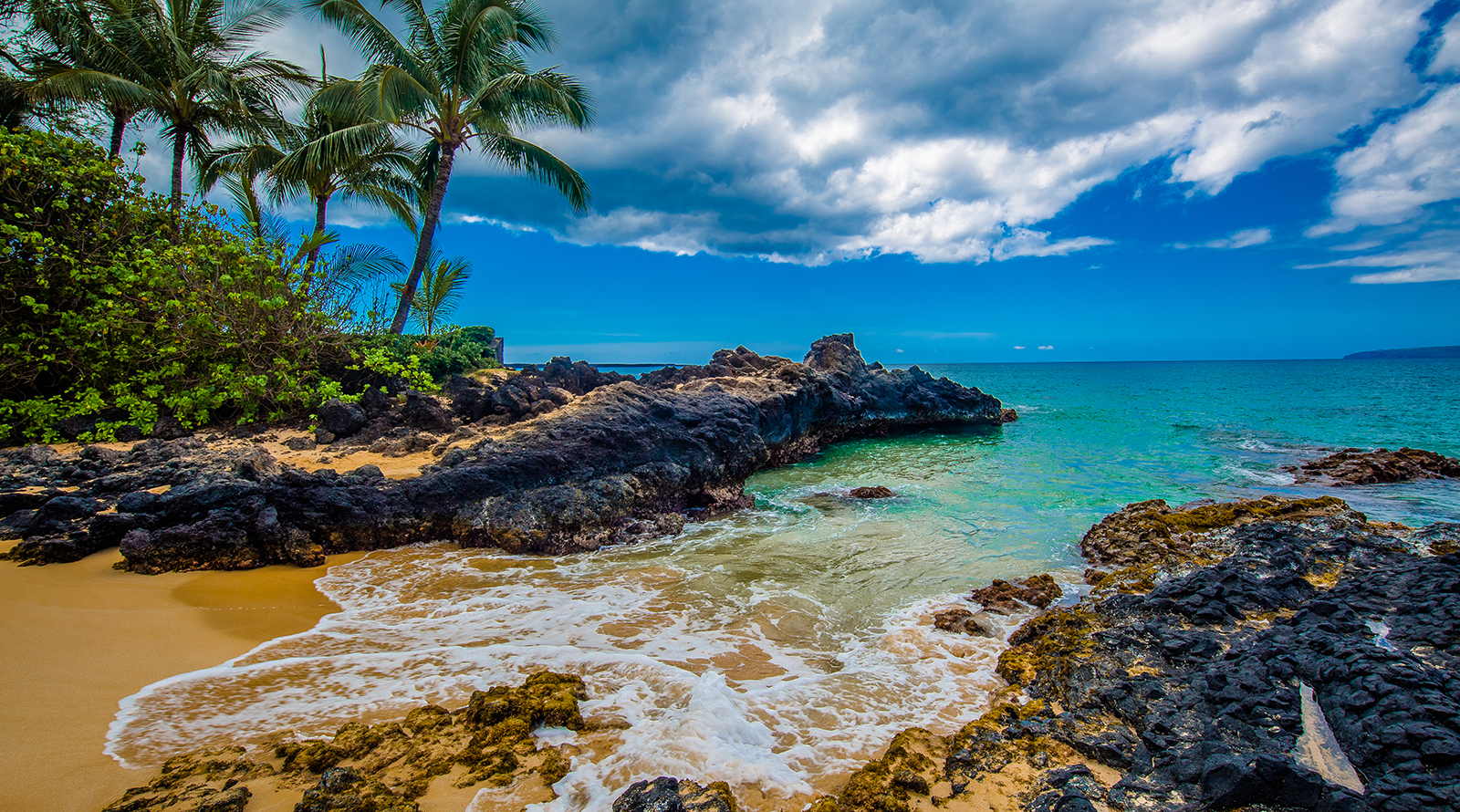 Jewels of Hawaii Explorer